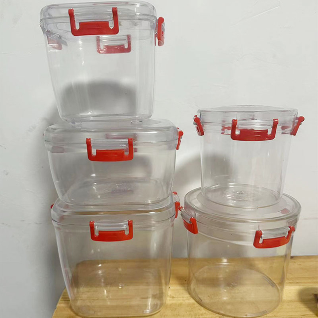 Transparent Lunch Box Mold