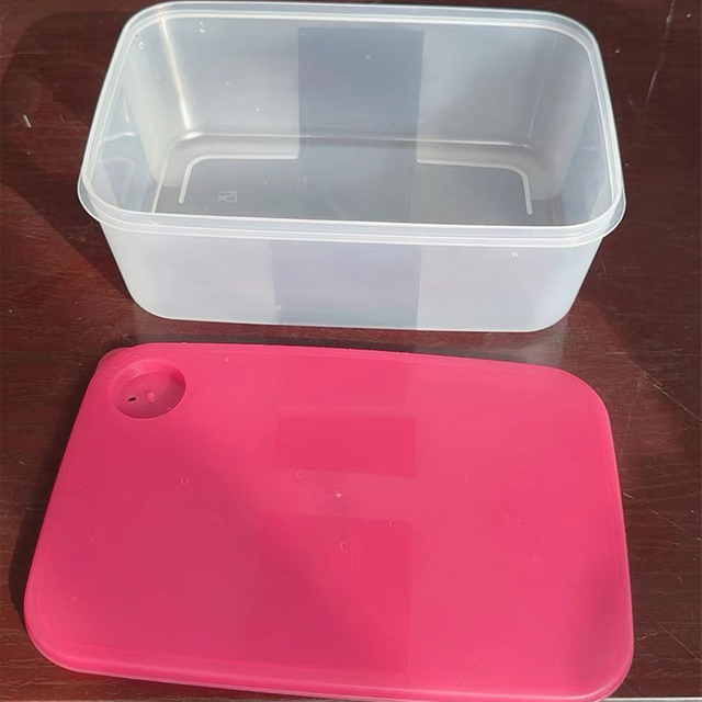 Rectangular Lunch Box Mould